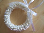 ribon