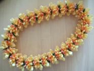 ribon