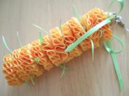 ribon